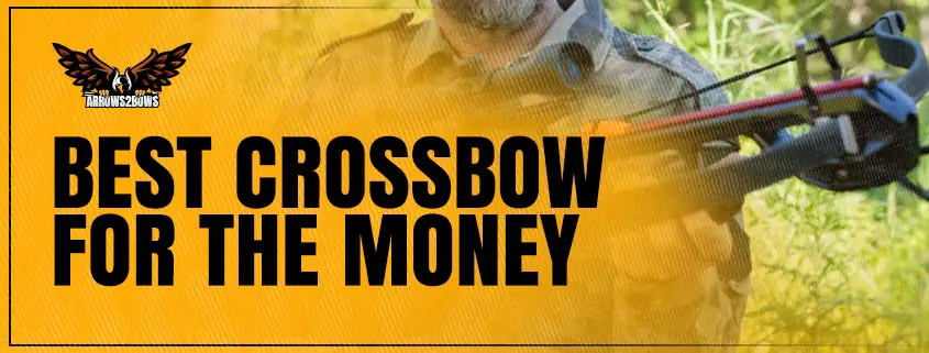 Best Crossbow for the Money