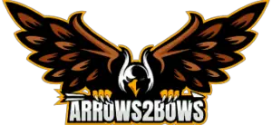 Arrows 2 Bows