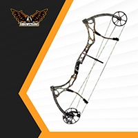 Bear Domain Compound Bow