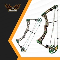 Bear Instinct Compound Bow