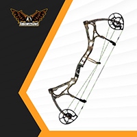 Bear Motive 6 Compound Bow