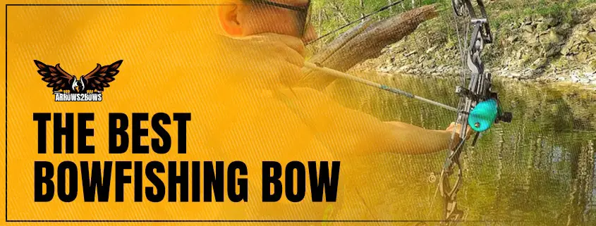 Best Bow fishing Bow