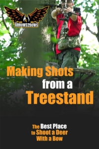 The Key to Making Shots from a Treestand