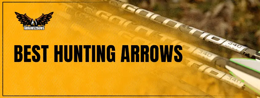 Best Hunting Arrows