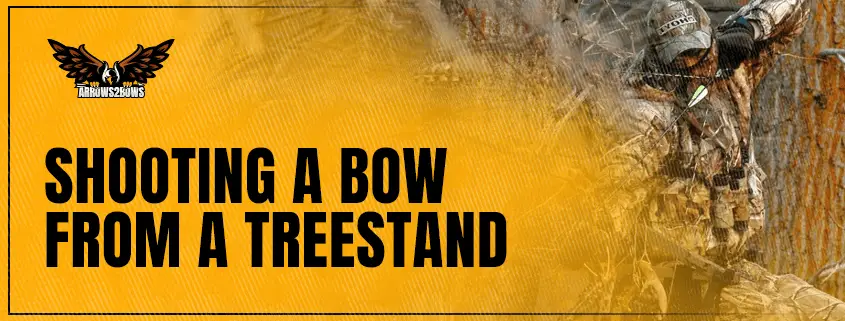 Shooting a Bow From a Treestand