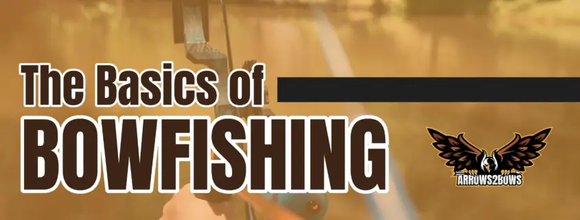 The Basics of Bowfishing